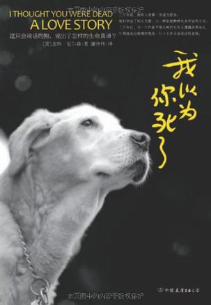 我以为你死了