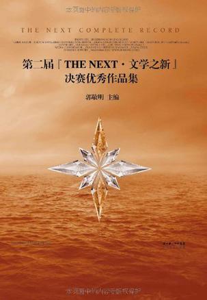 第二届“THE NEXT·文学之新”决赛优秀作品集