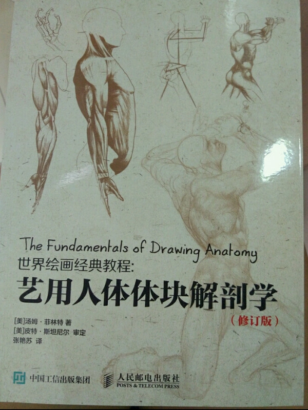 世界绘画经典教程：艺用人体解剖学
