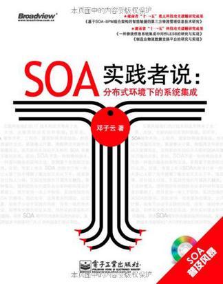 SOA实践者说