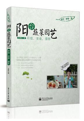 阳台蔬菜园艺