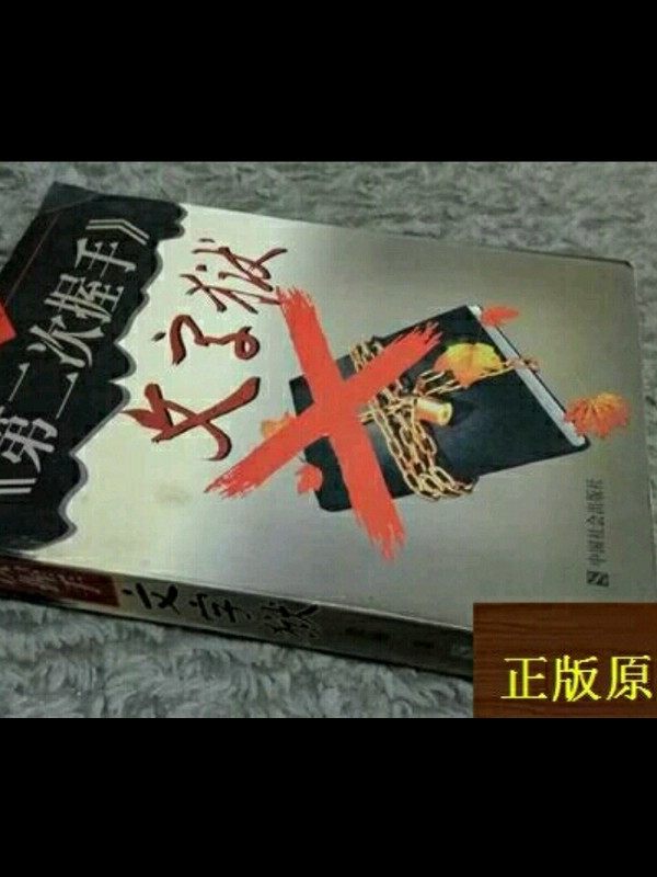 《第二次握手》文字狱