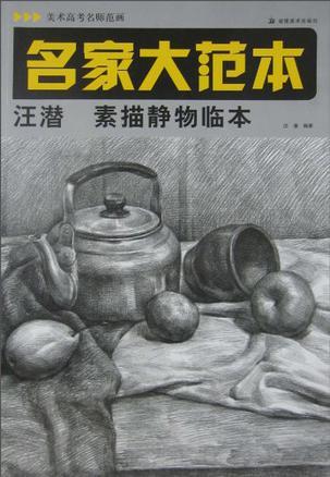 美术高考名师范画·名家大范本