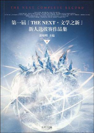 第一届“THE NEXT·文学之新”新人选拔赛作品集