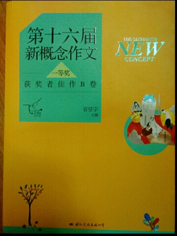 飞扬：第十六届新概念作文一等奖获奖者佳作B卷