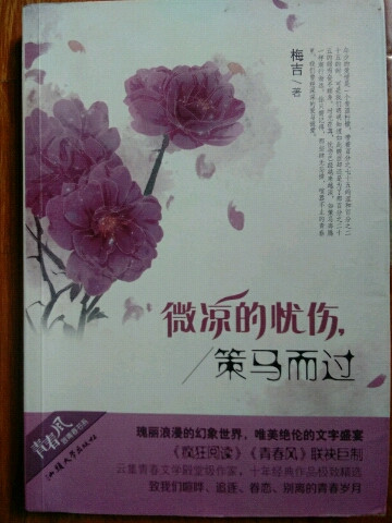 天星教育·疯狂阅读·青春风系列:微凉的忧伤策马而过