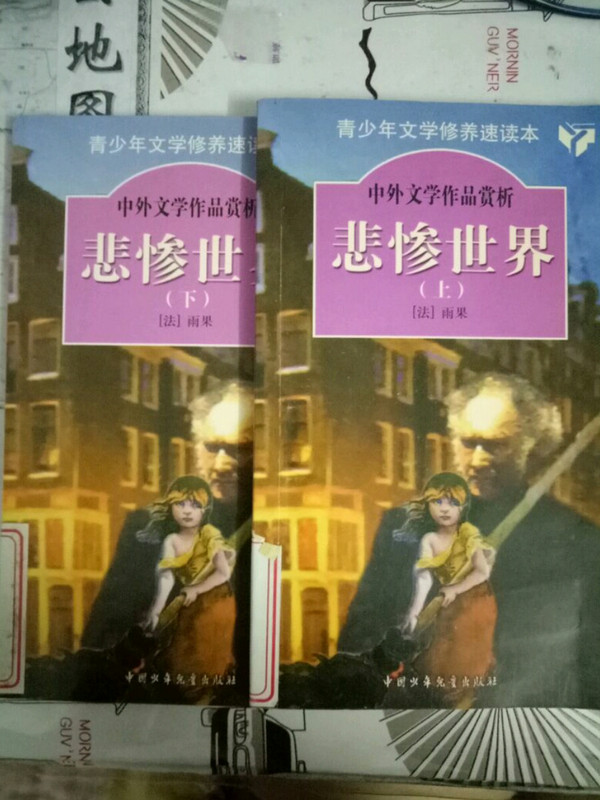 《中外文学作品赏析》丛书：青少年文学修养速读本