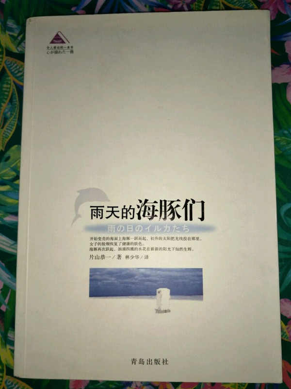 雨天的海豚们