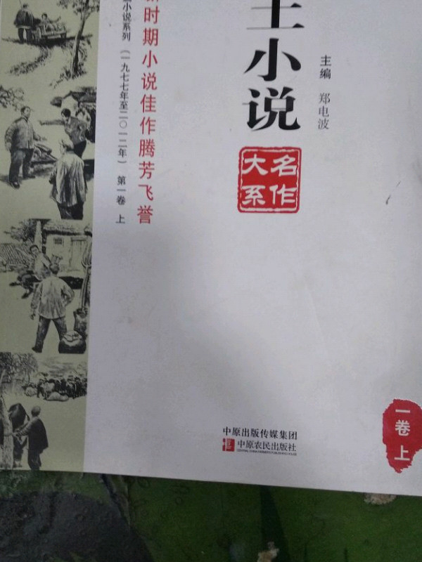 中国乡土小说名作大系-买卖二手书,就上旧书街