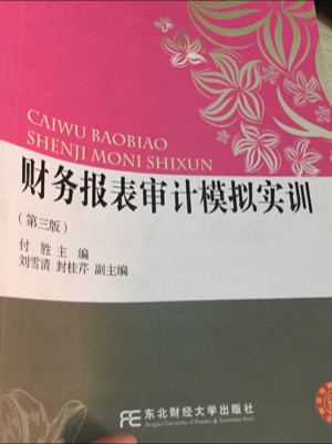 财务报表审计模拟实训/21世纪精品教材·财务会计类