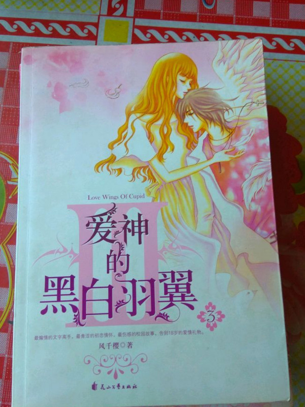 爱神的黑白羽翼3