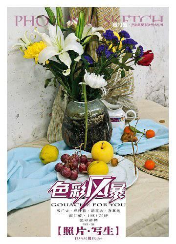 色彩静物