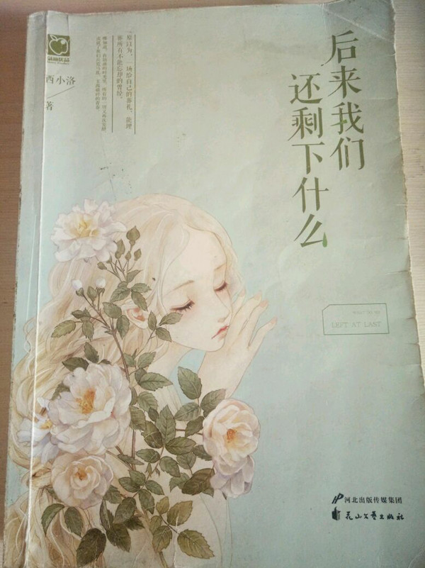 后来我们还剩下什么