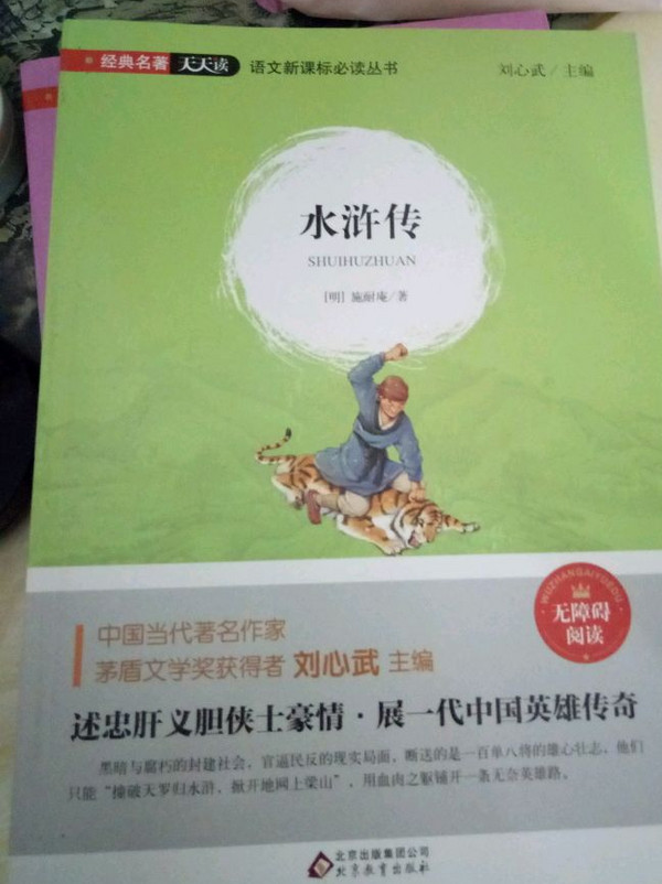 水浒传/语文新课标必读丛书