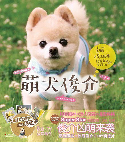 萌犬俊介