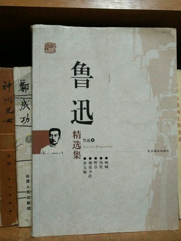 鲁迅精选集