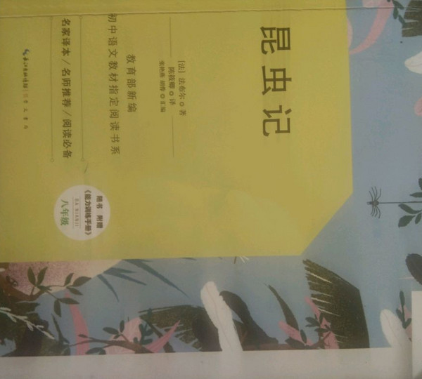 昆虫记-八年级上教育部新编初中语文教材指定阅读书系-买卖二手书,就上旧书街