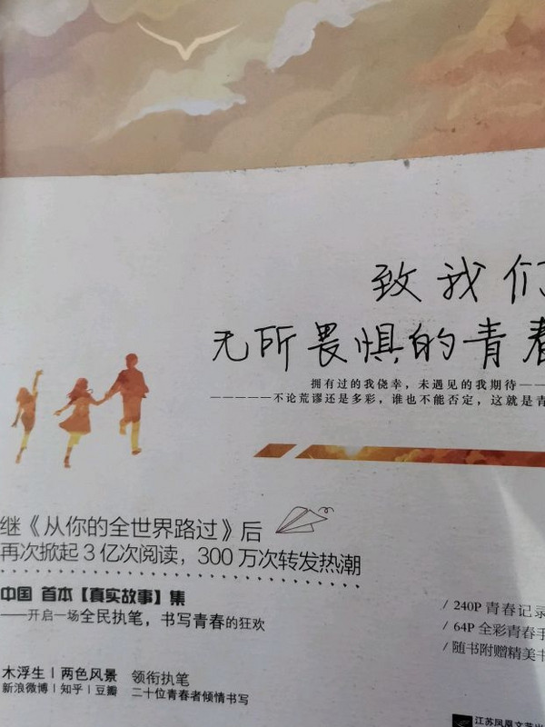 致我们无所畏惧的青春