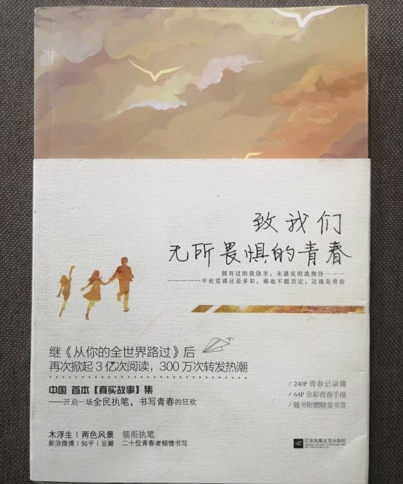 致我们无所畏惧的青春