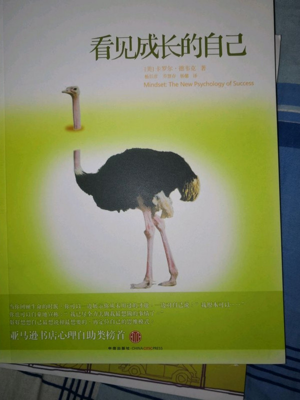 看见成长的自己