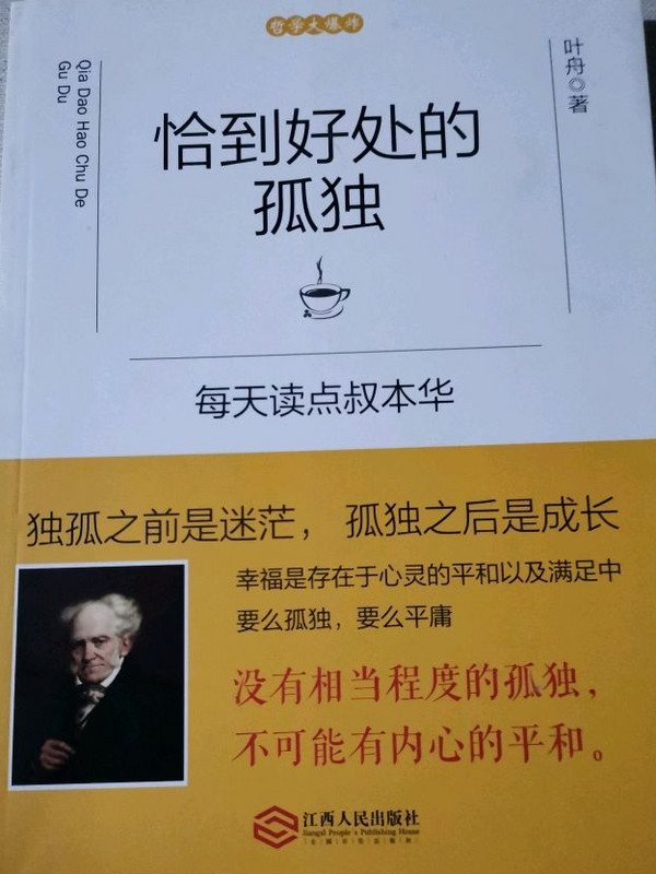 恰到好处的孤独：每天读点叔本华-买卖二手书,就上旧书街