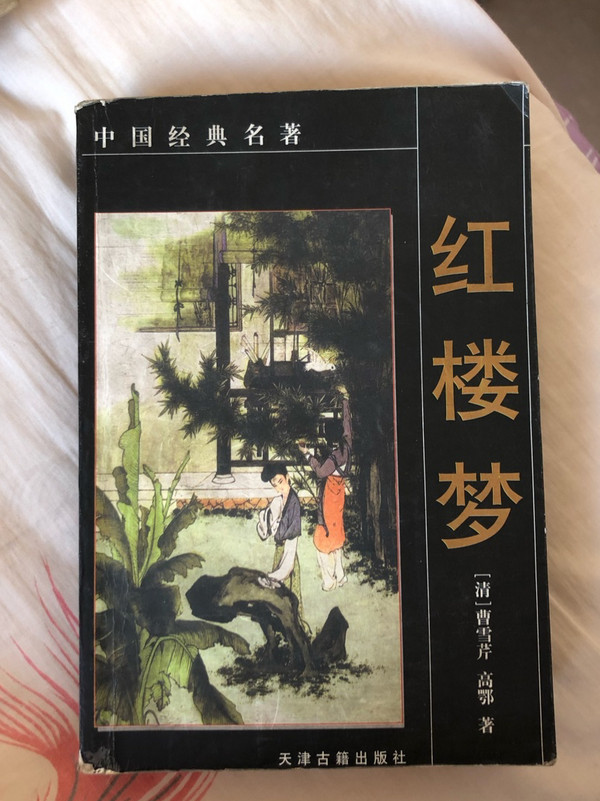 红楼梦——中国经典名著-买卖二手书,就上旧书街