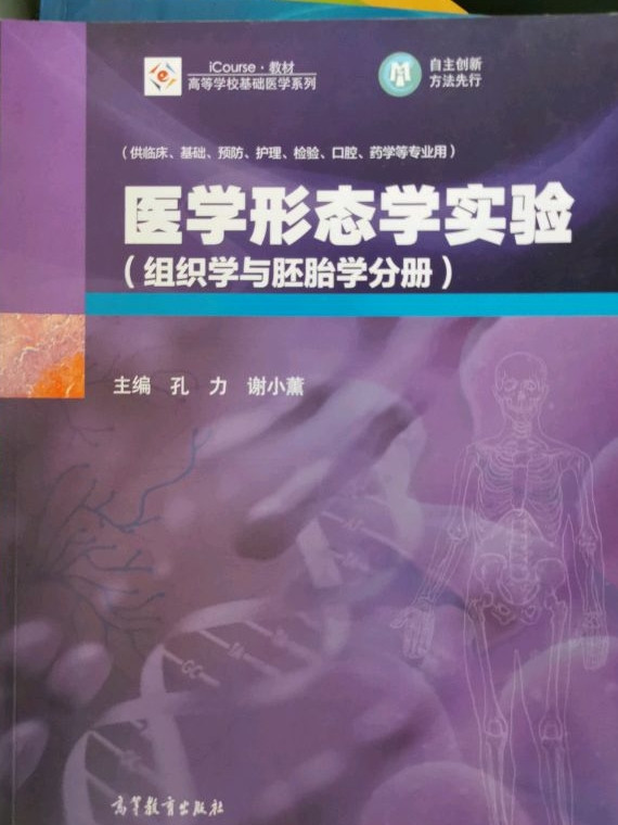 医学形态学实验