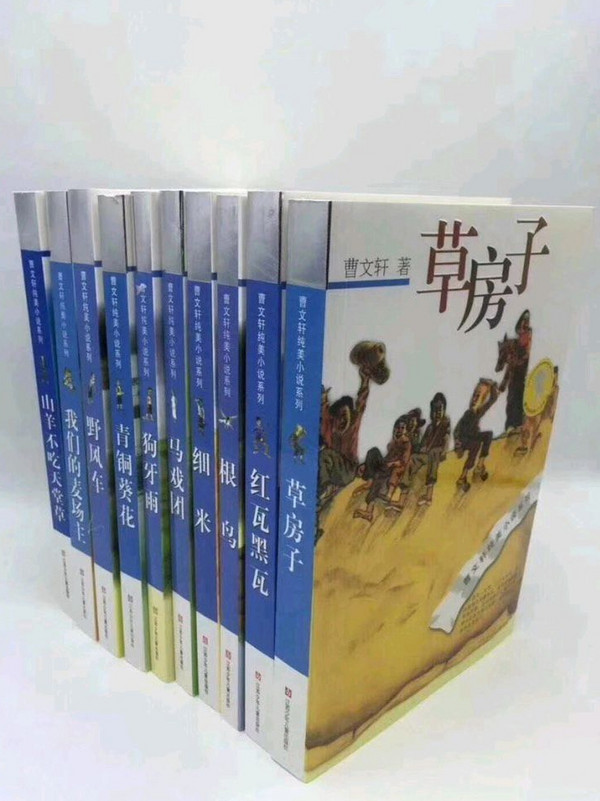 曹文轩精品集