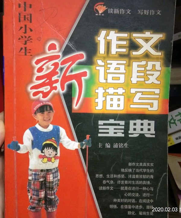 中国小学生新作文语段描写宝典