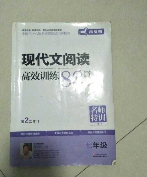 名师特训：现代文阅读高效训练88篇