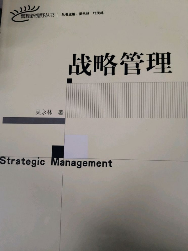 管理新视野丛书：战略管理