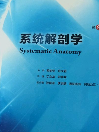 系统解剖学
