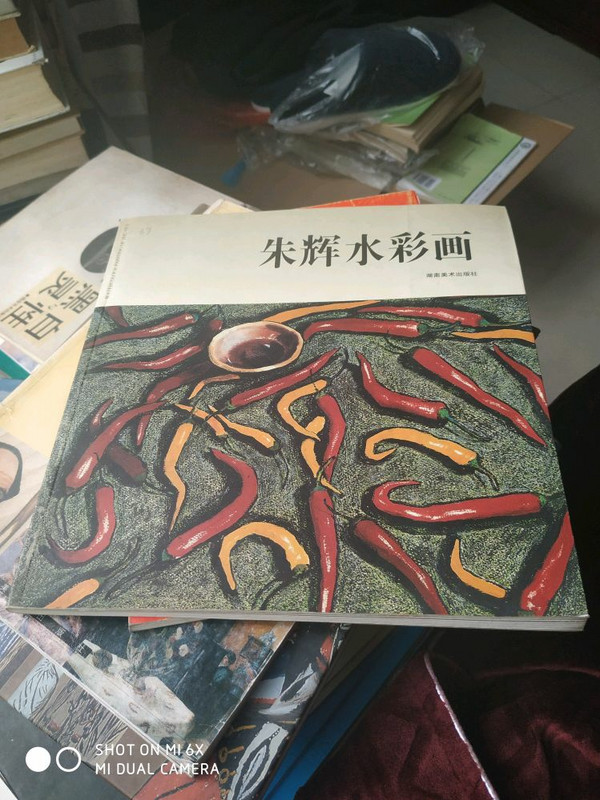 朱辉水彩画