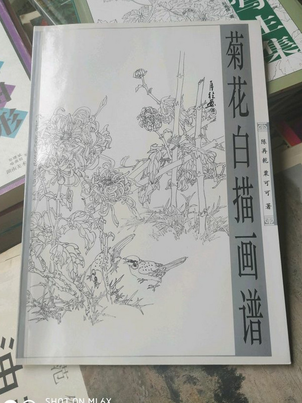 菊花白描画谱//白描画谱丛书