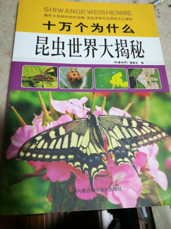 十万个为什么：昆虫世界大揭秘