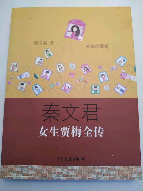 女生贾梅全传