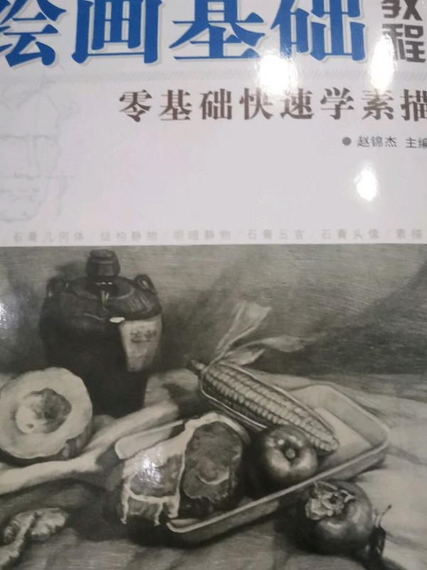 绘画基础教程：零基础快速学素描