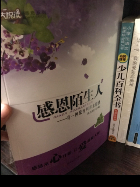 感恩陌生人：有一种缘份叫萍水相逢/大悦读感恩系列