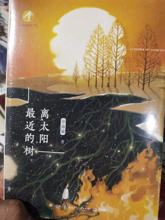 离太阳最近的树