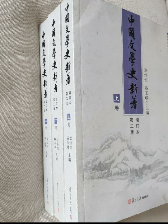 中国文学史新著-买卖二手书,就上旧书街