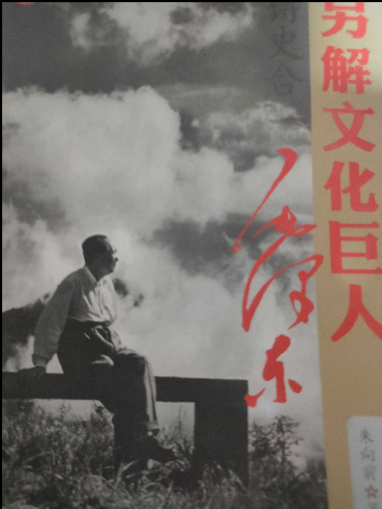 诗史合一：另解文化巨人毛泽东-买卖二手书,就上旧书街