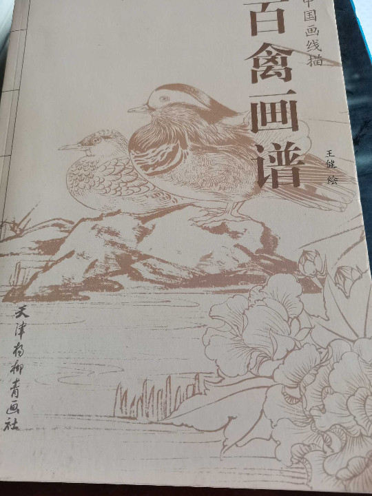 百禽画谱-中国画线描