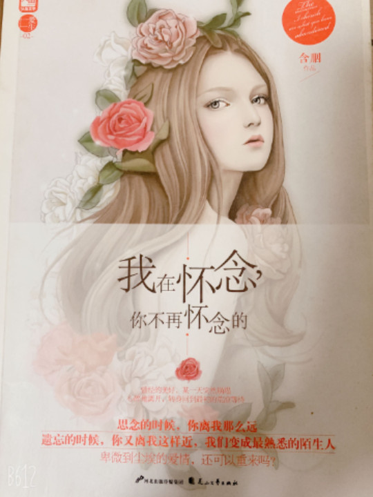 我在怀念，你不再怀念的