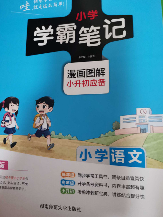 2018版 绿卡图书 学霸笔记漫画图解:小学语文(通用版 大字版 全彩版)