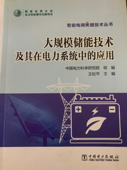 智能电网关键技术丛书 大规模储能技术及其在电力系统中的应用