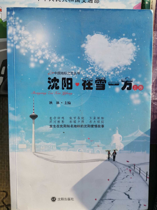 沈阳 在雪一方