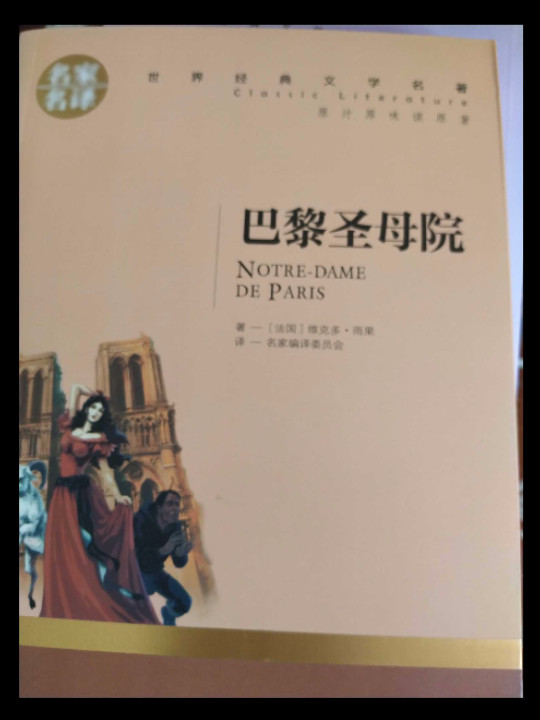 巴黎圣母院 名家名译世界经典文学名著 原汁原味读原著 中小学生新课标课外阅读故事书