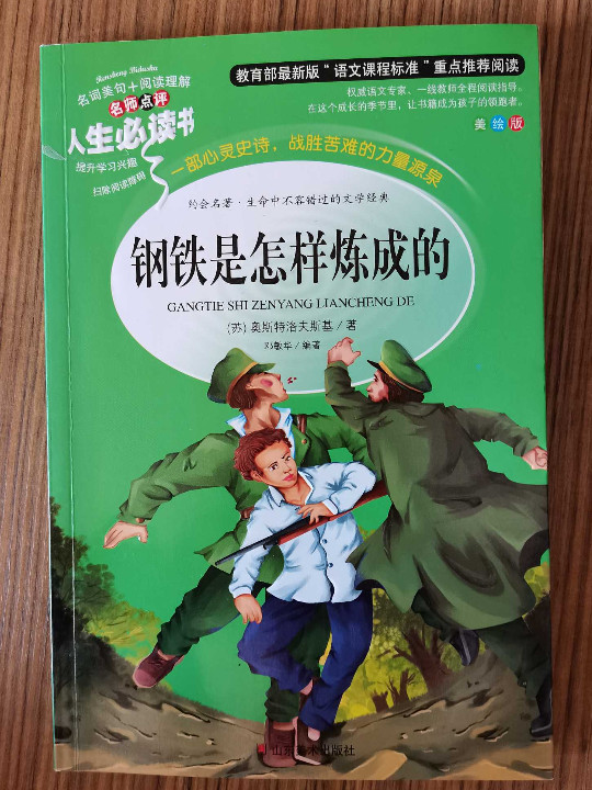 钢铁是怎样炼成的 教育部新课标推荐书目-人生必读书 名师点评 美绘插图版