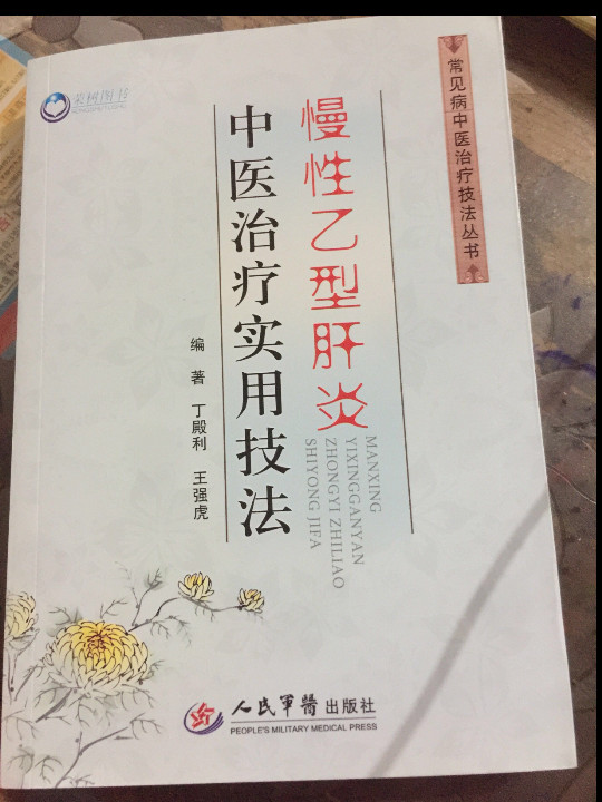 慢性乙型肝炎中医治疗实用技法.常见病中医治疗技法丛书