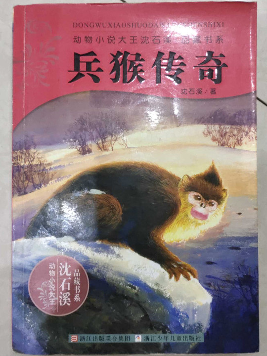 兵猴传奇